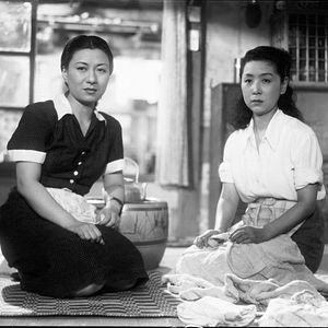 Bilder A hen in the wind