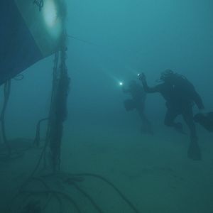 Bilder Deep Fear - Tauch um dein Leben!