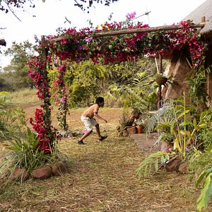 Bilder Litlhohonolofatso Litlhakayane