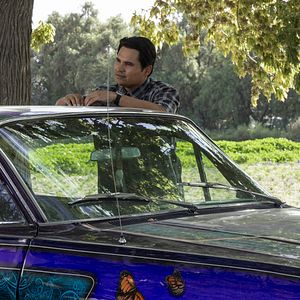 Bilder Michael Peña