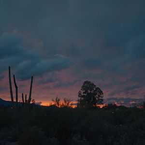 Bilder The Gate - Ein Leben lang im Krieg