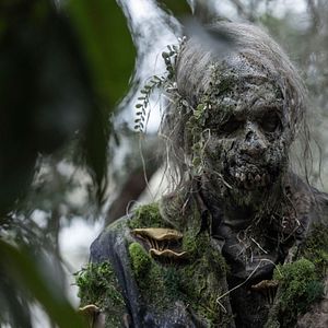 Bilder Fear The Walking Dead