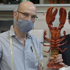 Bilder Die Ausstattung der Welt