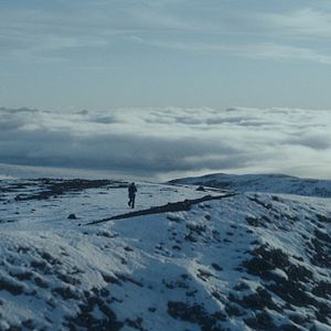Bilder Suddenly - Überleben im Eis