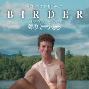 Bilder Birder