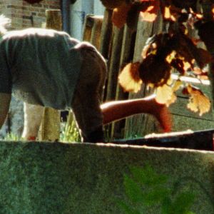 Bilder Der Wind nimmt die mit