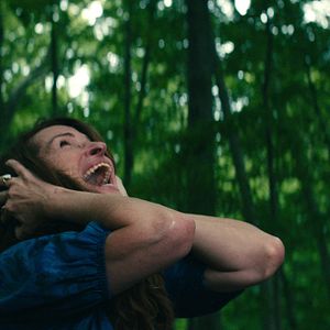 Bilder Leave the World Behind