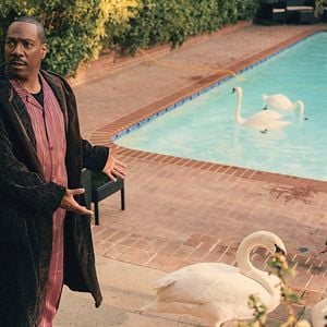 Bilder Candy Cane Lane