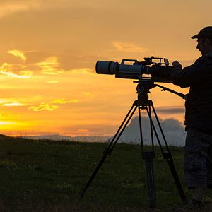 Bilder Vivre avec les loups