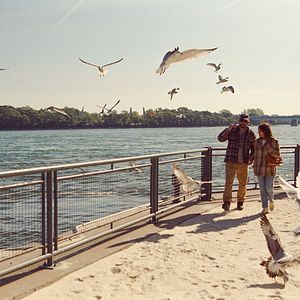 Bilder Pierre-Yves Cardinal