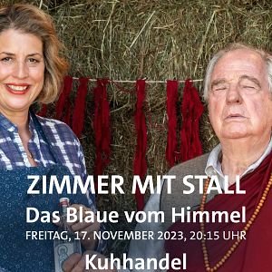 Bilder Zimmer mit Stall - Das Blaue vom Himmel