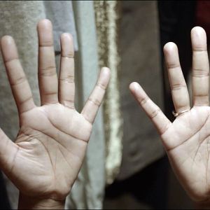 Bilder The Tuba Thieves