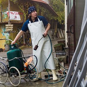 Bilder Wir und das Tier - Ein Schlachthausmelodram