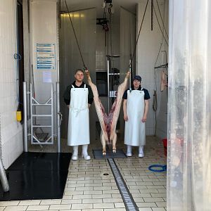 Bilder Wir und das Tier - Ein Schlachthausmelodram