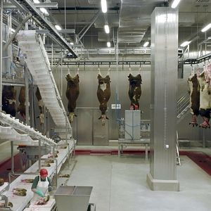 Bilder Wir und das Tier - Ein Schlachthausmelodram