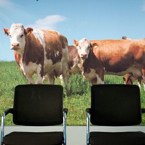 Bilder Wir und das Tier - Ein Schlachthausmelodram