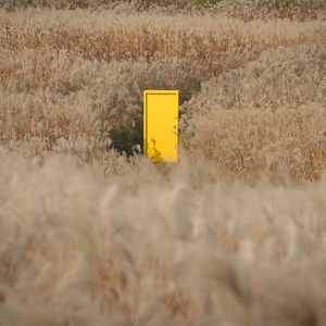 Bilder Yellow Door: '90s Lo-fi Film Club