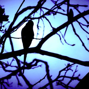 Bilder Sound Of Cologne