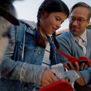 Bilder Hunde - allein zu Haus