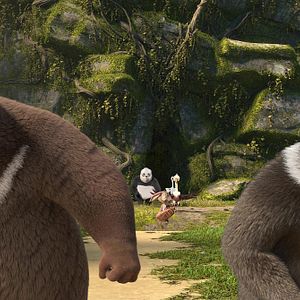 Bilder Mission Babybär - Eine tierische Tour