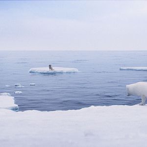 Bilder Die Abenteuer von Kina & Yuk