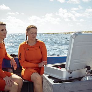 Bilder 007: Road To A Million