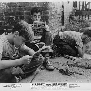 Bilder Der kleine Ausreißer