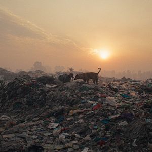 Bilder Plastic Fantastic