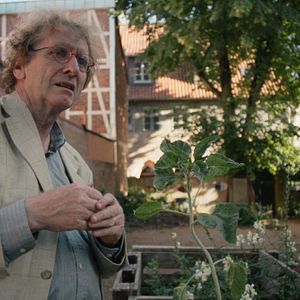 Bilder Plastic Fantastic