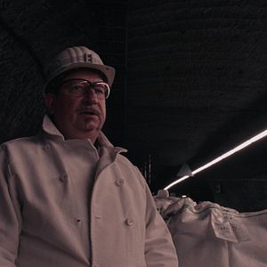 Bilder Plastic Fantastic