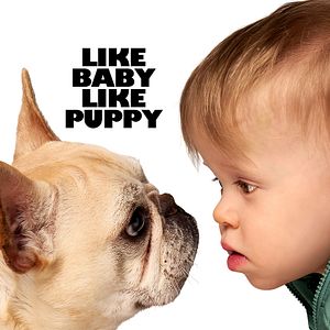 Bilder Family Switch