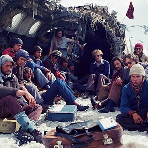 Bilder Die Schneegesellschaft