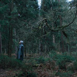 Bilder Haus der Stille