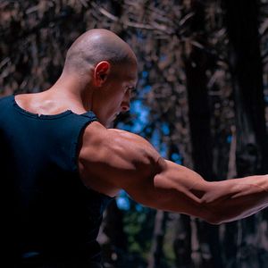 Bilder Die Faust des Condors