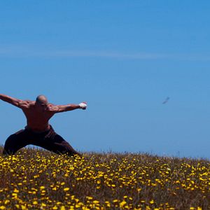 Bilder Die Faust des Condors