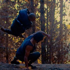 Bilder Die Faust des Condors