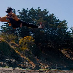 Bilder Die Faust des Condors