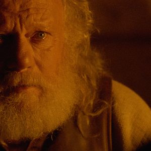 Bilder Der Pakt der Wölfe