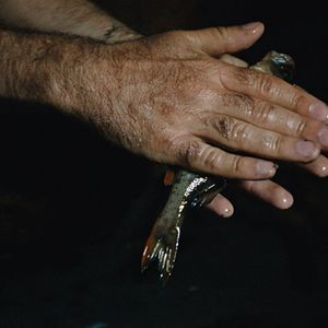 Bilder Camping du lac