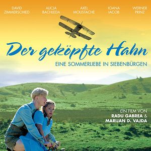 Bilder Der geköpfte Hahn