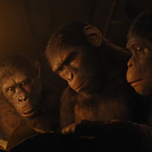 Bilder Planet der Affen 4: New Kingdom
