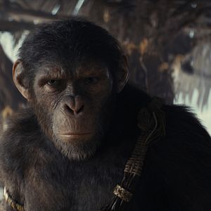 Bilder Planet der Affen 4: New Kingdom