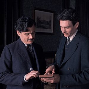 Bilder Sabin Tambrea