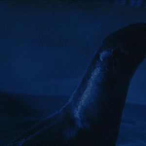 Bilder It is Night in America