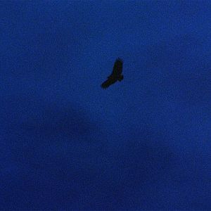 Bilder It is Night in America