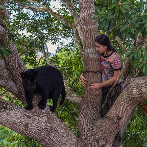 Bilder Ella und der schwarze Jaguar