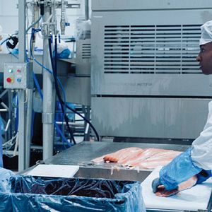 Bilder Norwegian Dream