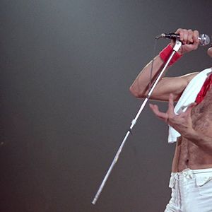 Bilder Freddie Mercury