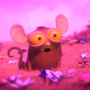 Bilder Die Dschungelhelden auf Weltreise