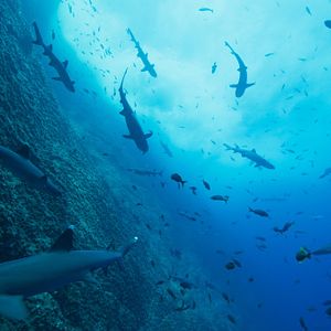 Bilder Unsere Ozeane